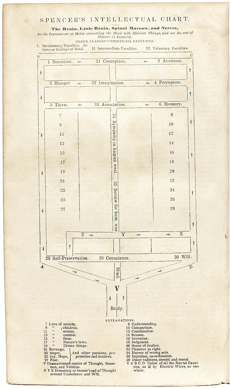 William Seaward in Defence of William Freeman, on His Trial for Murder - 1846 In Good Condition For Sale In Hillsborough, NJ