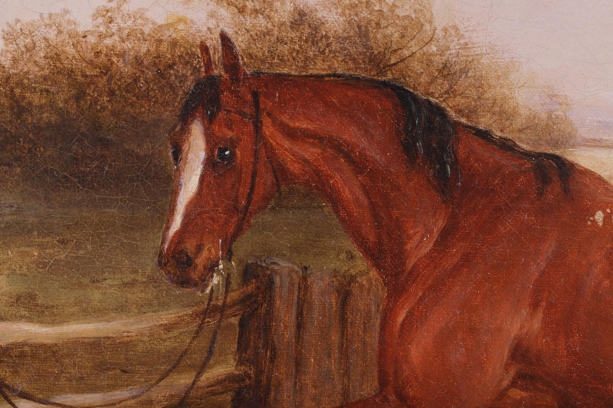 Un cavallo al trotto