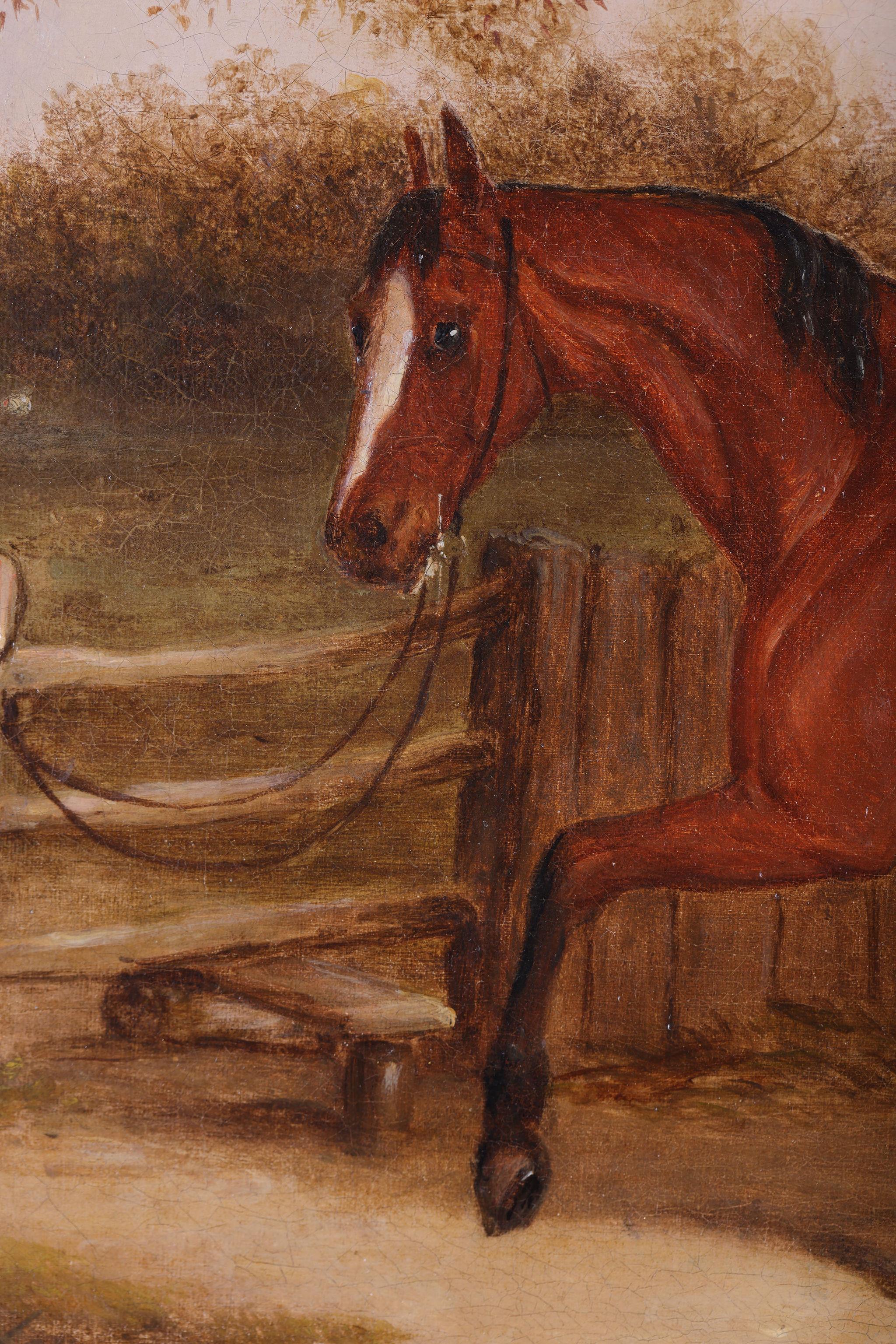 Un cavallo al trotto