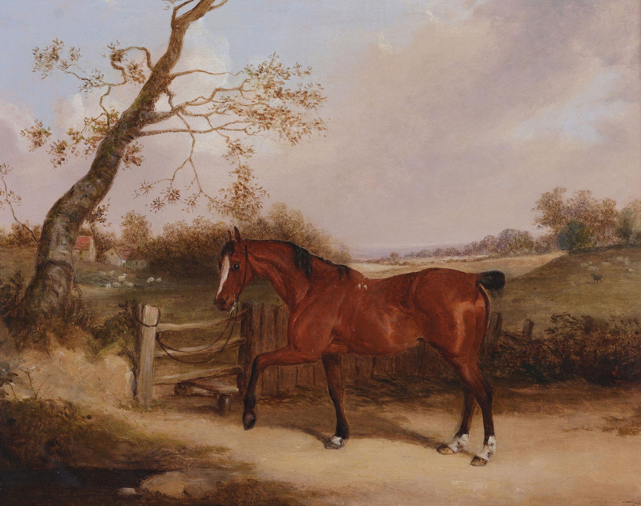 Un cavallo al trotto