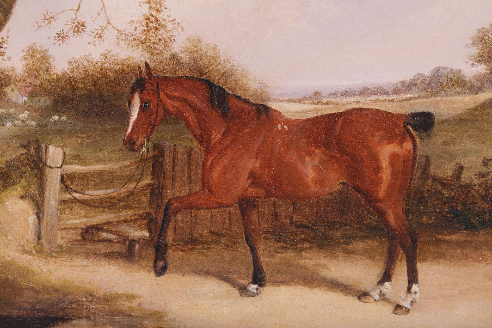 Un cavallo al trotto