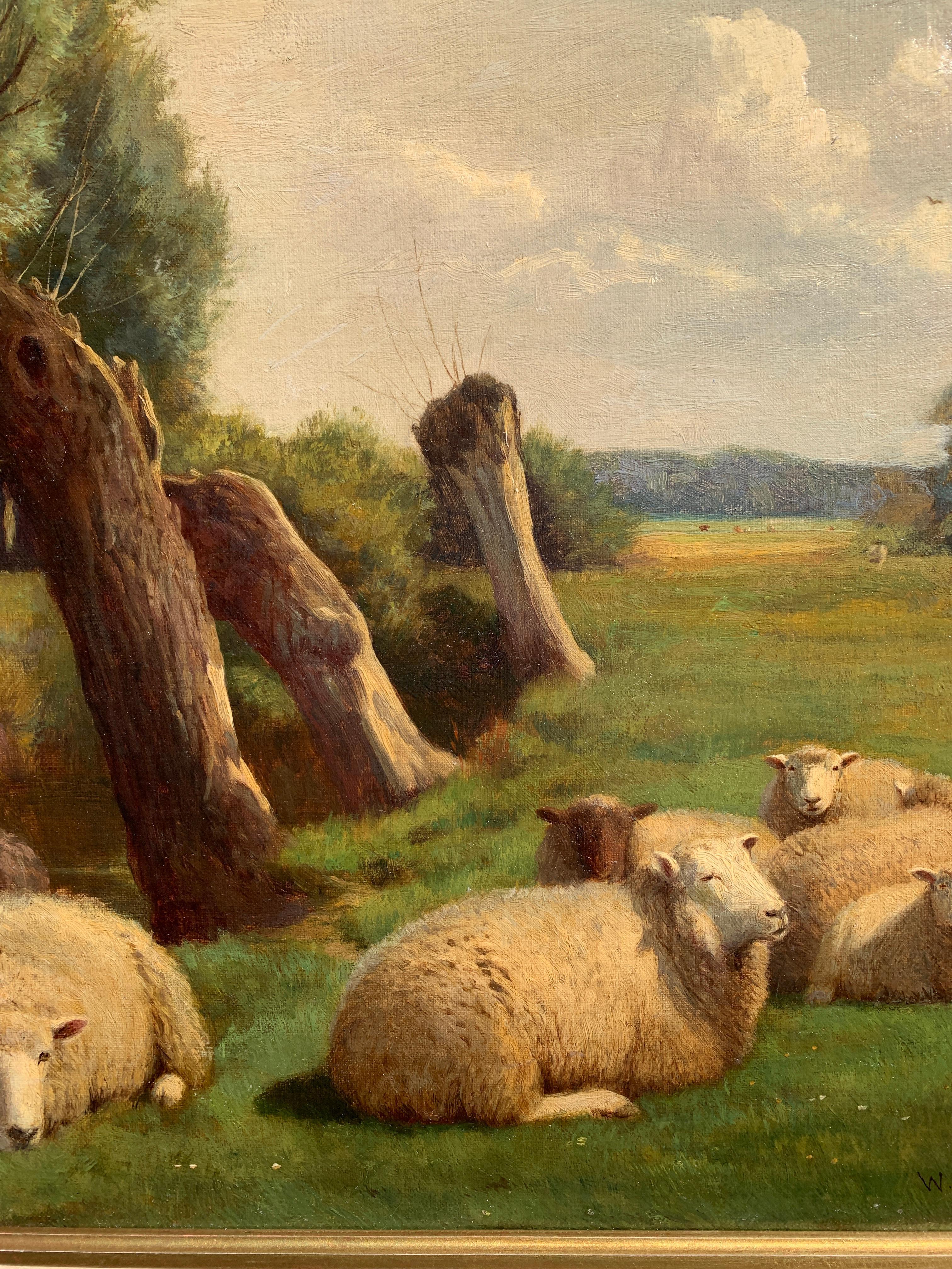 willow tree sheep