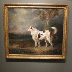 Ritratto di un cane di Terranova, William A. Smith, pittura britannica, 1838, Pets Art