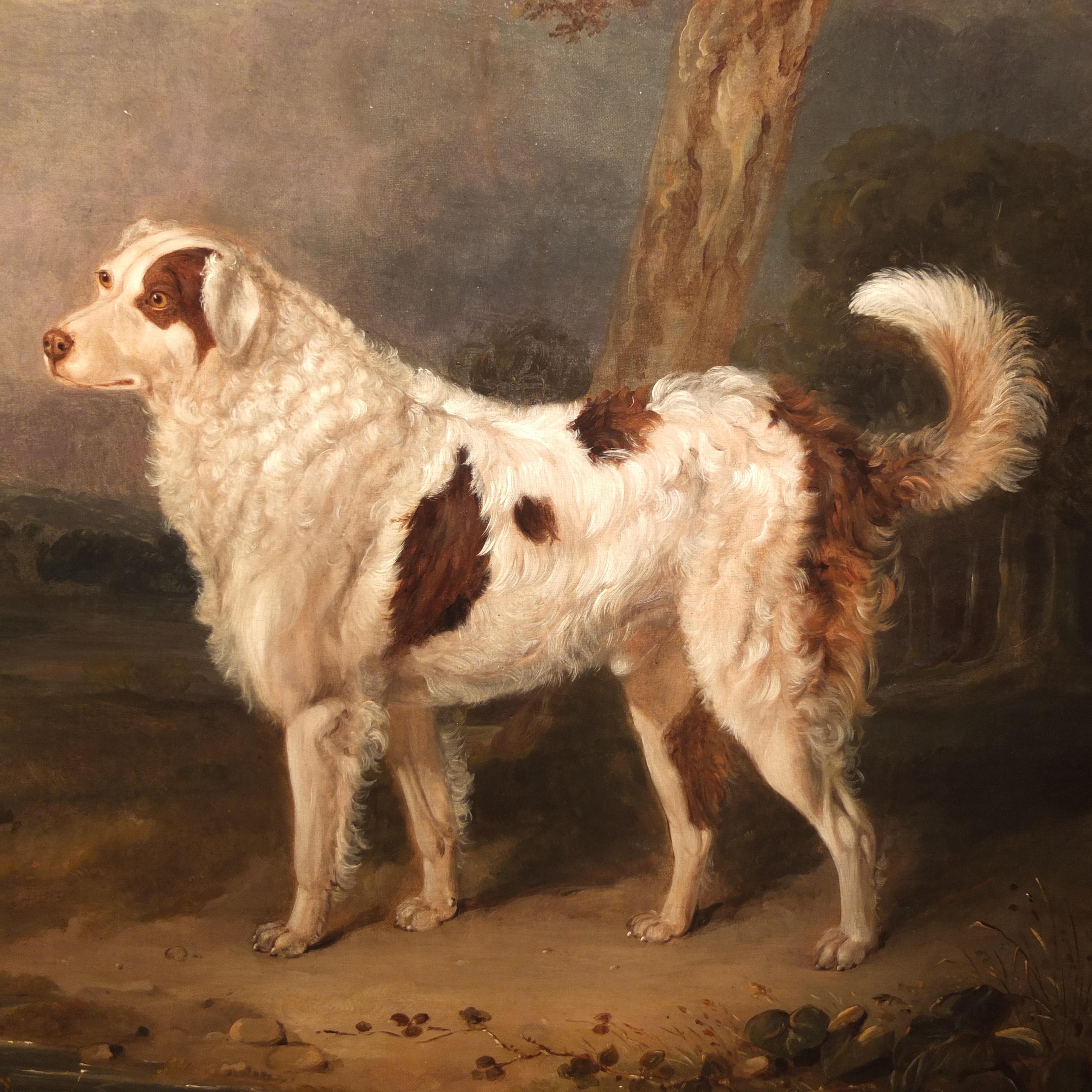 Retrato de un perro de Terranova, William Smith, Pintura británica, 1838, Mascotas Arte en venta 2