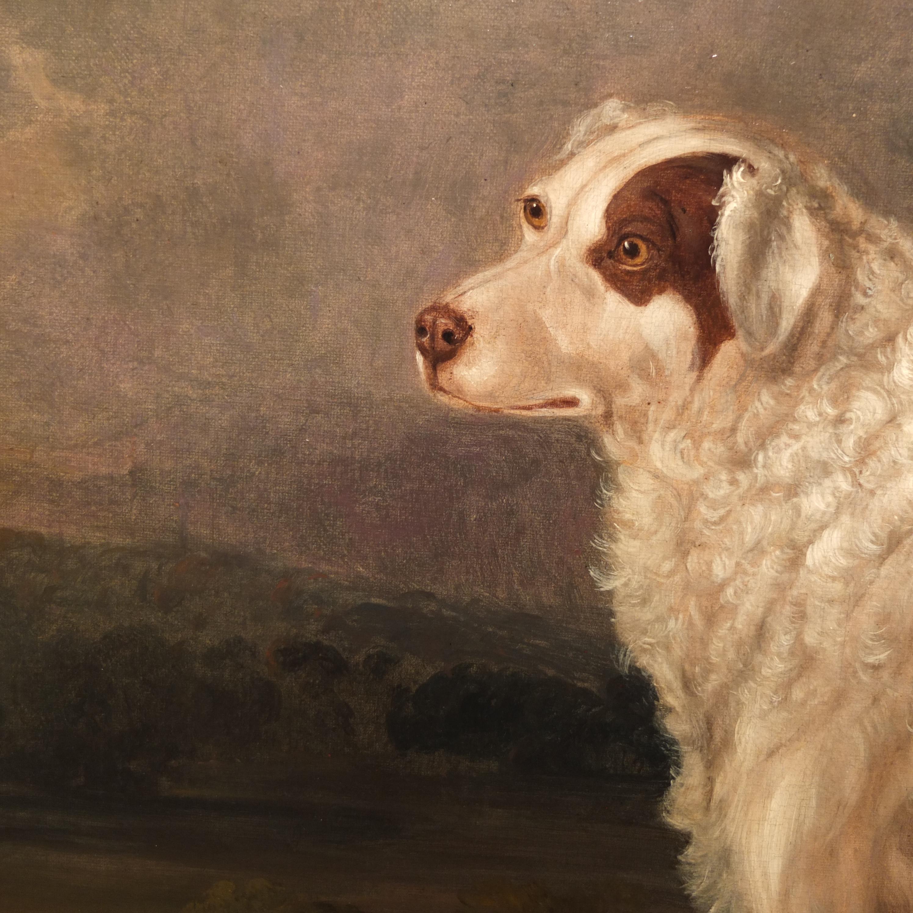 Retrato de un perro de Terranova, William Smith, Pintura británica, 1838, Mascotas Arte en venta 3