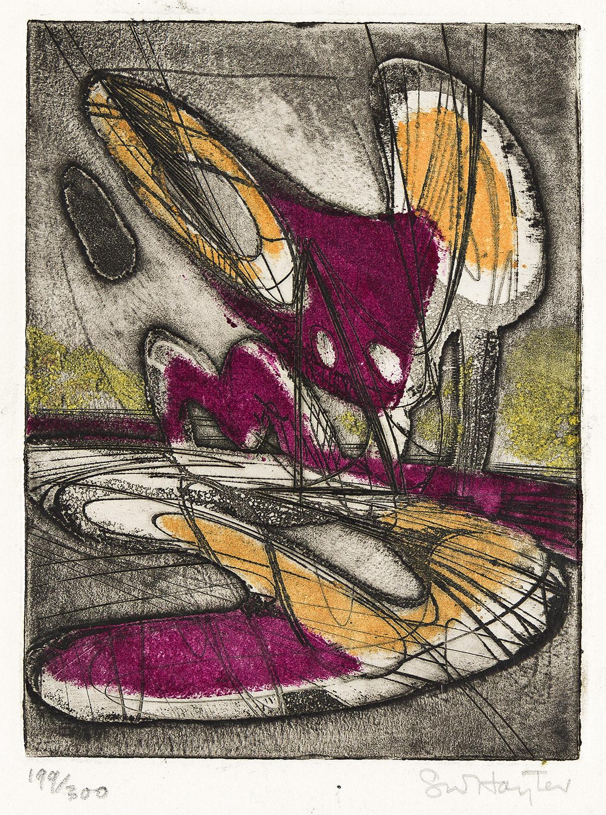Night Moth