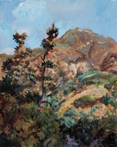 Gentle Peak, Eaton Canyon