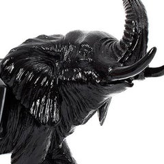 Cloned black father Elephant.