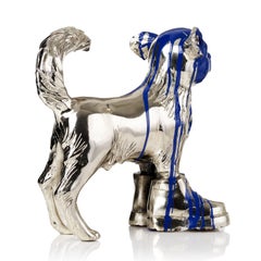 Cloned Chihuahua with colored head.