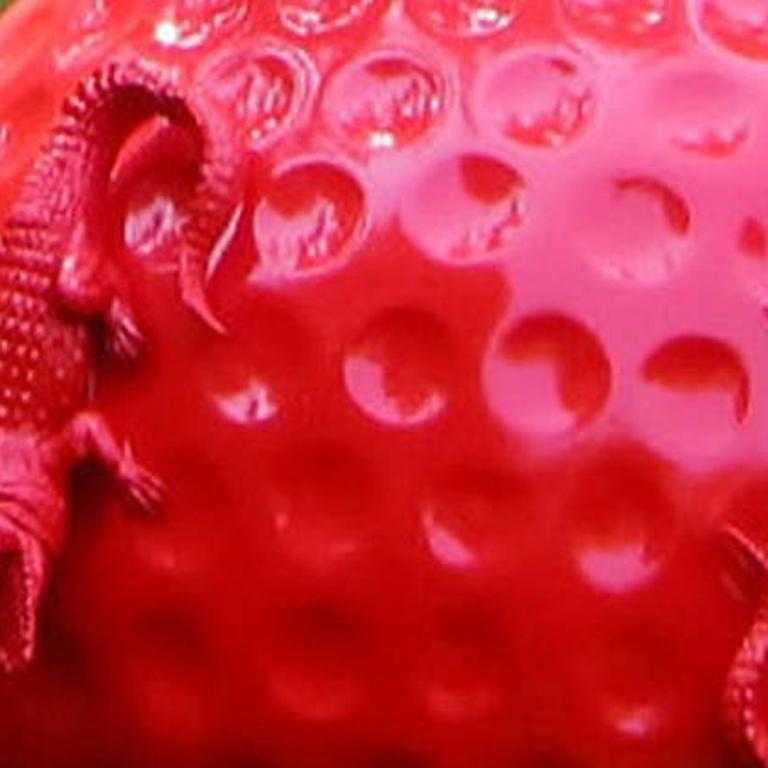 Cloned golfball with crocodiles - Pop Art Sculpture by William Sweetlove