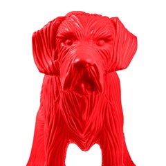 Cloned Schnauzer with water bottle
