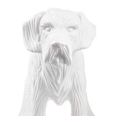 Cloned Schnauzer with water bottle