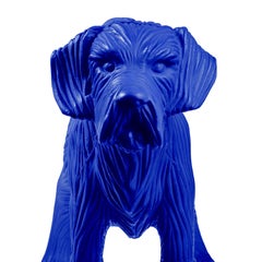 Schnauzer clonado con botella de agua