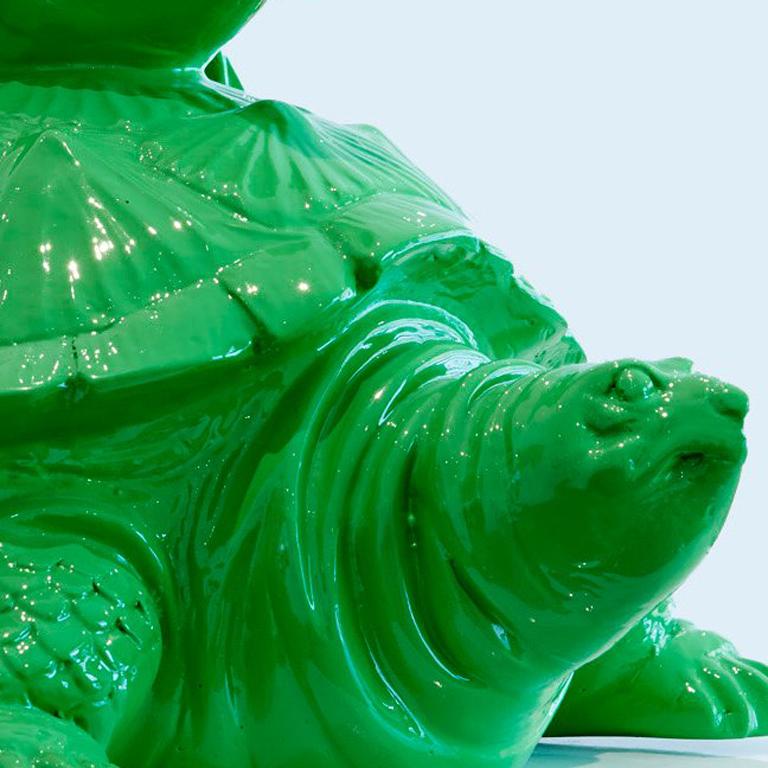 Cloned Schildkröte mit Haustierflasche. im Angebot 1