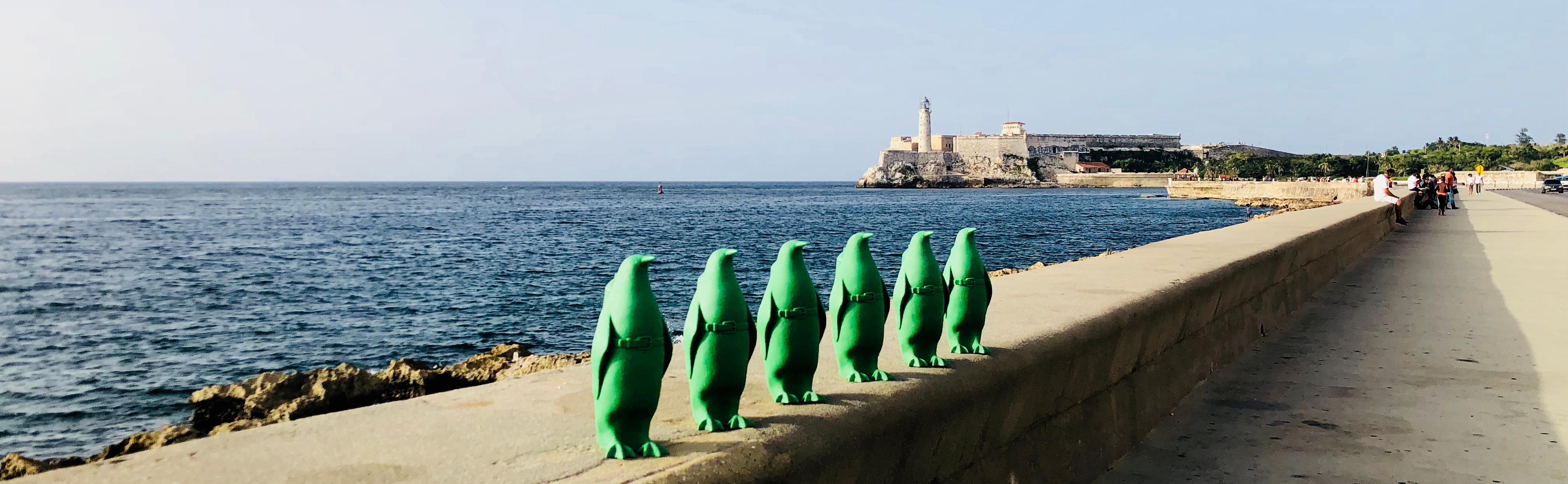 Small Cloned Green Penguin with Water Bottle, Cuban Edition 1