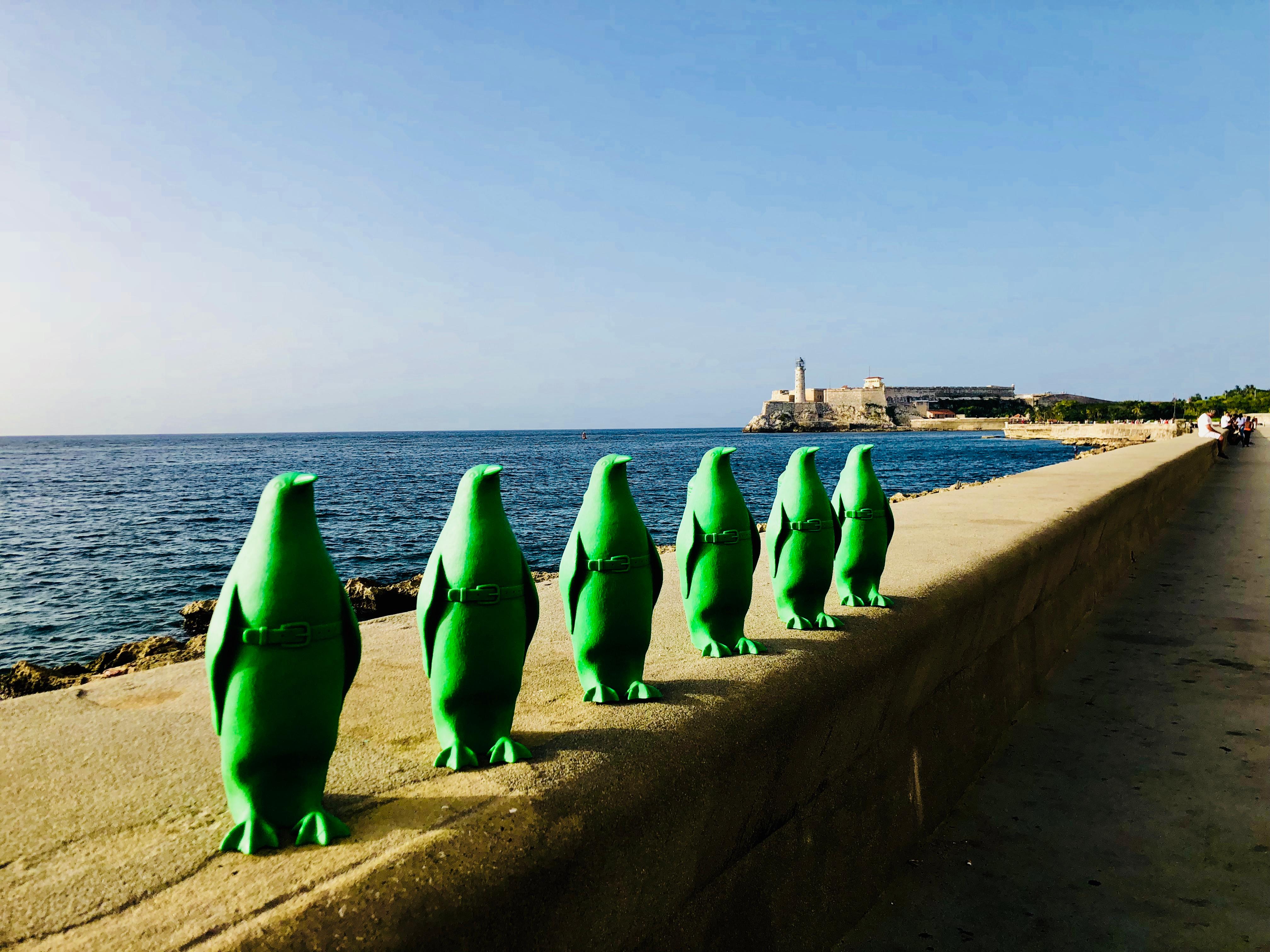 Small Cloned Green Penguin with Water Bottle, Cuban Edition 2