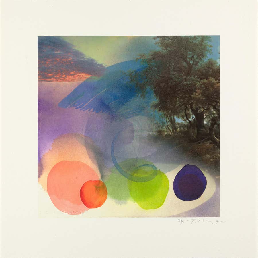 Zephyr - Hambleton