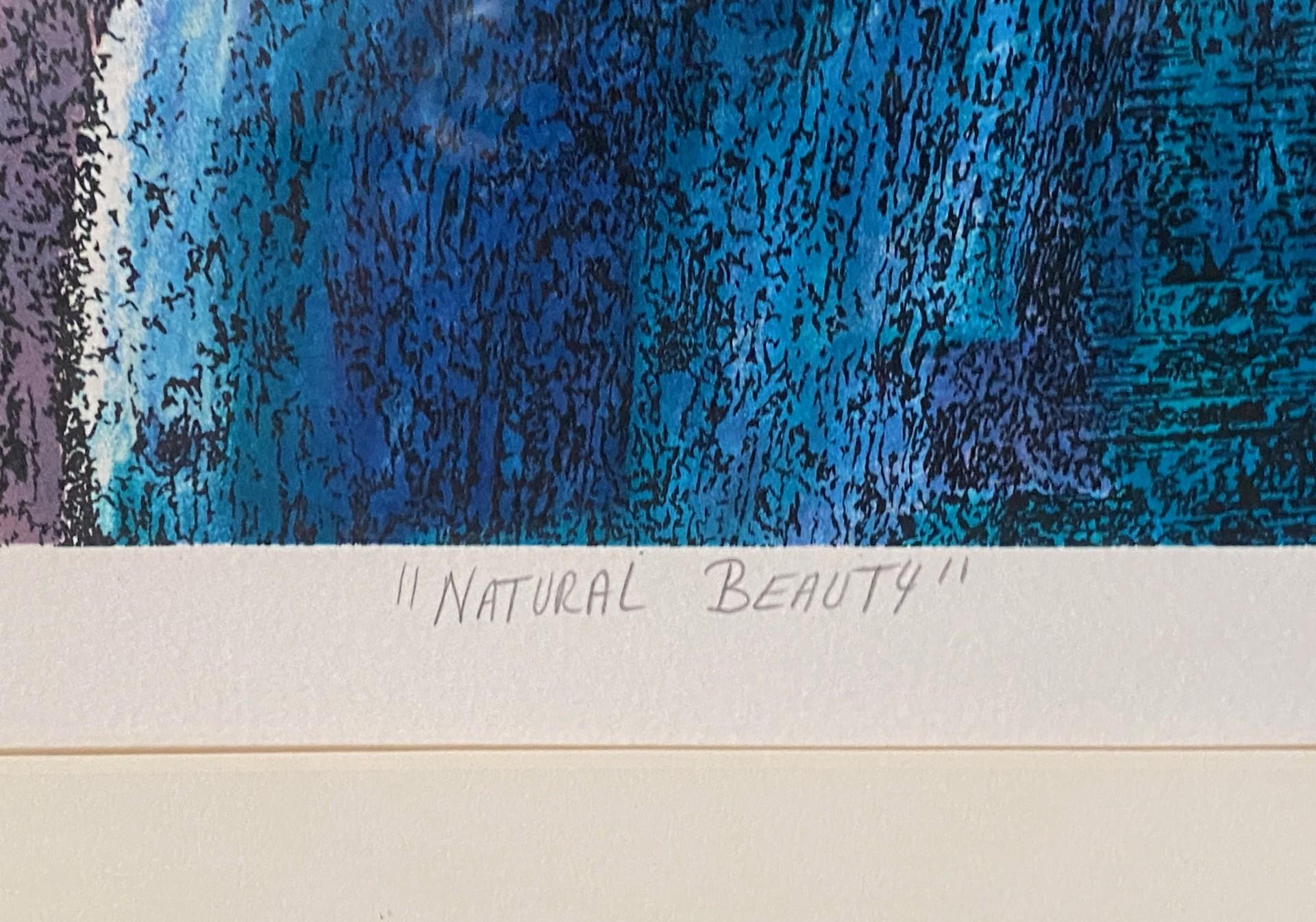 William Tolliver Edición Limitada Firmada Serigrafía Abstracta Belleza Natural en venta 8