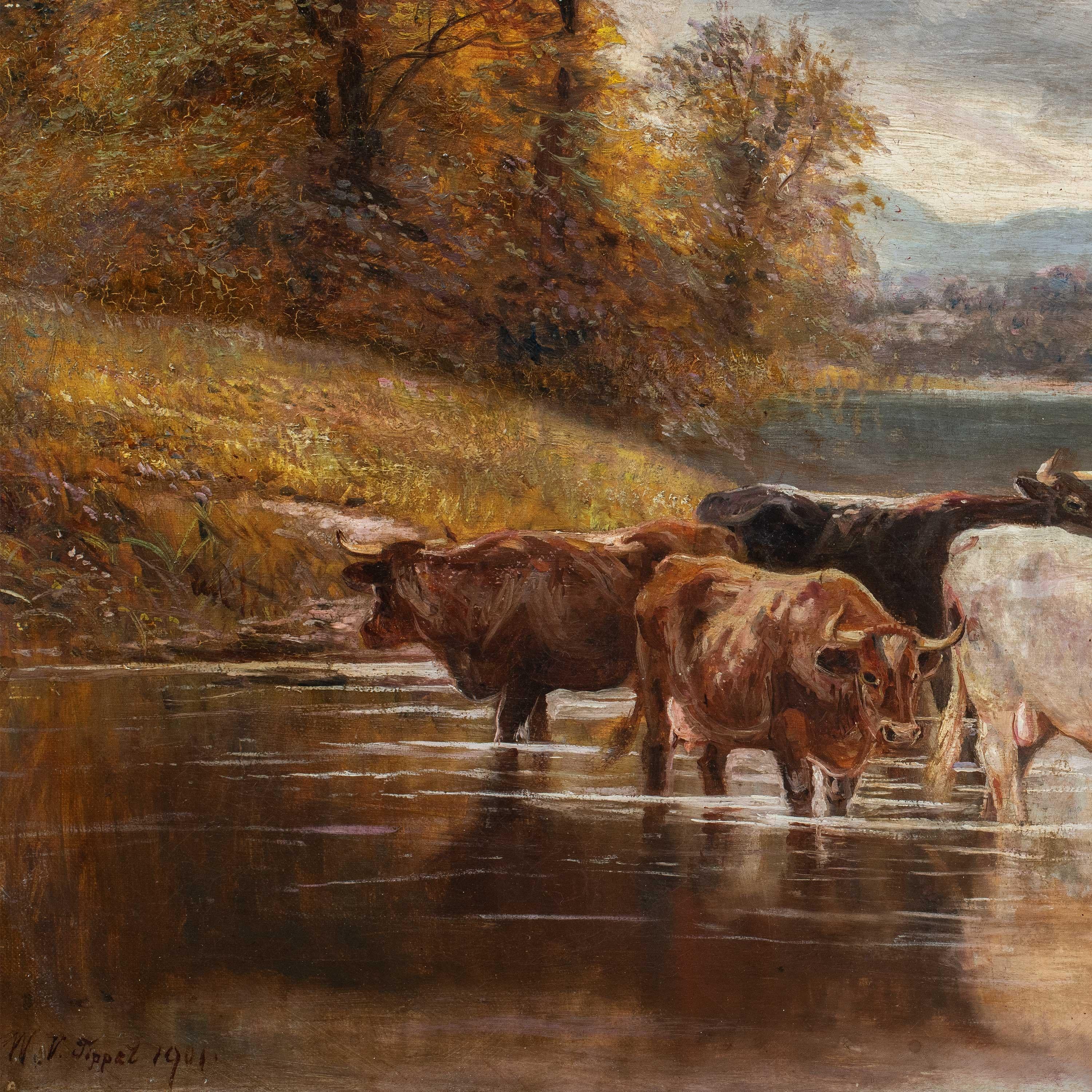 William Tippett (Naturaliste britannique) - Peinture de paysage du 19ème siècle - Vaches - Painting de  William Vivian Tippett