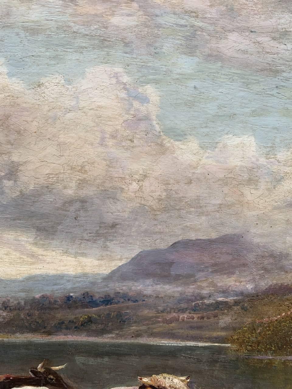 William Tippett (Naturaliste britannique) - Peinture de paysage du 19ème siècle - Vaches en vente 2