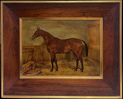 Dipinti di animali