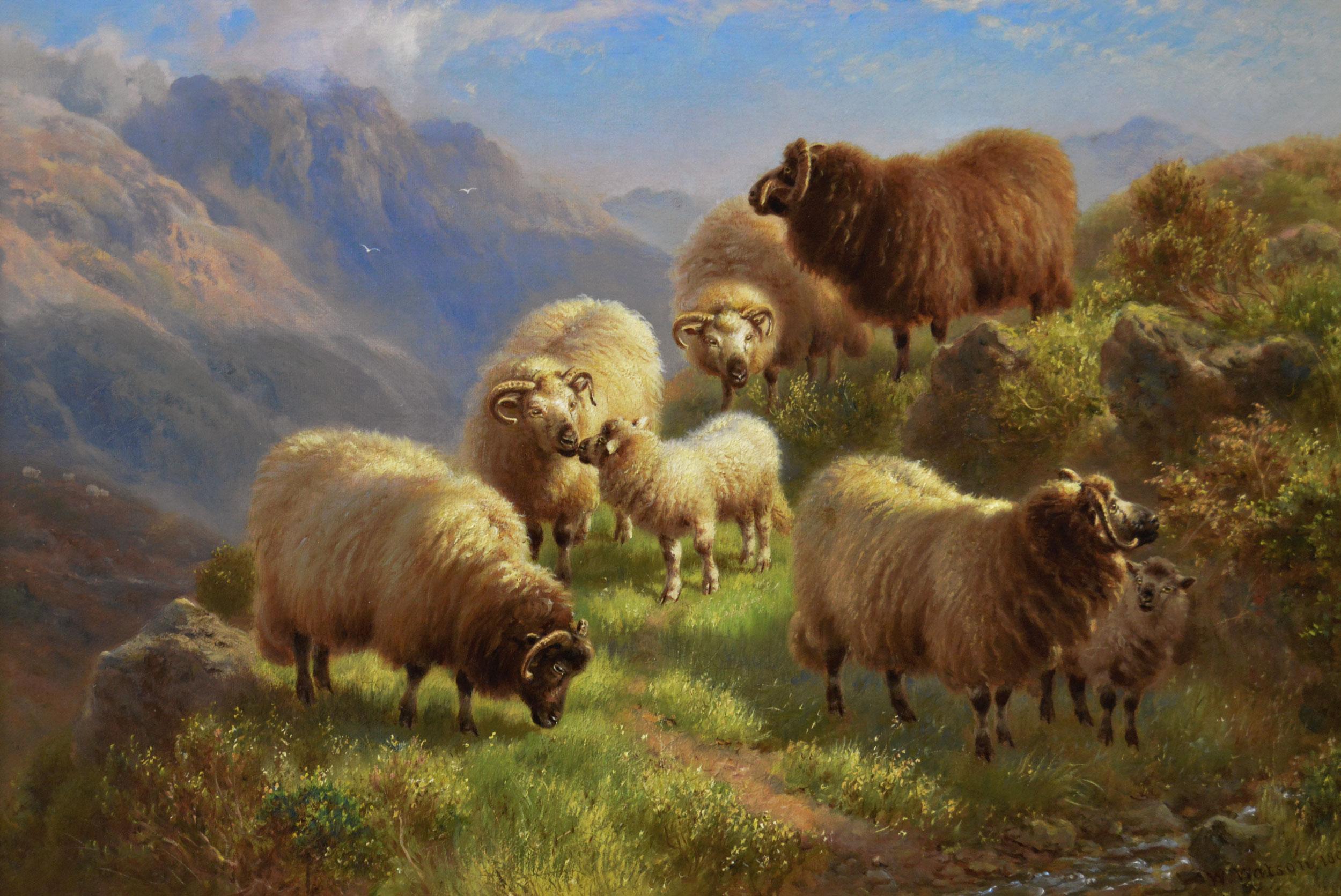 19th Century Scottish landscape oil painting of Highland sheep at Glen Coe - Painting by William Watson