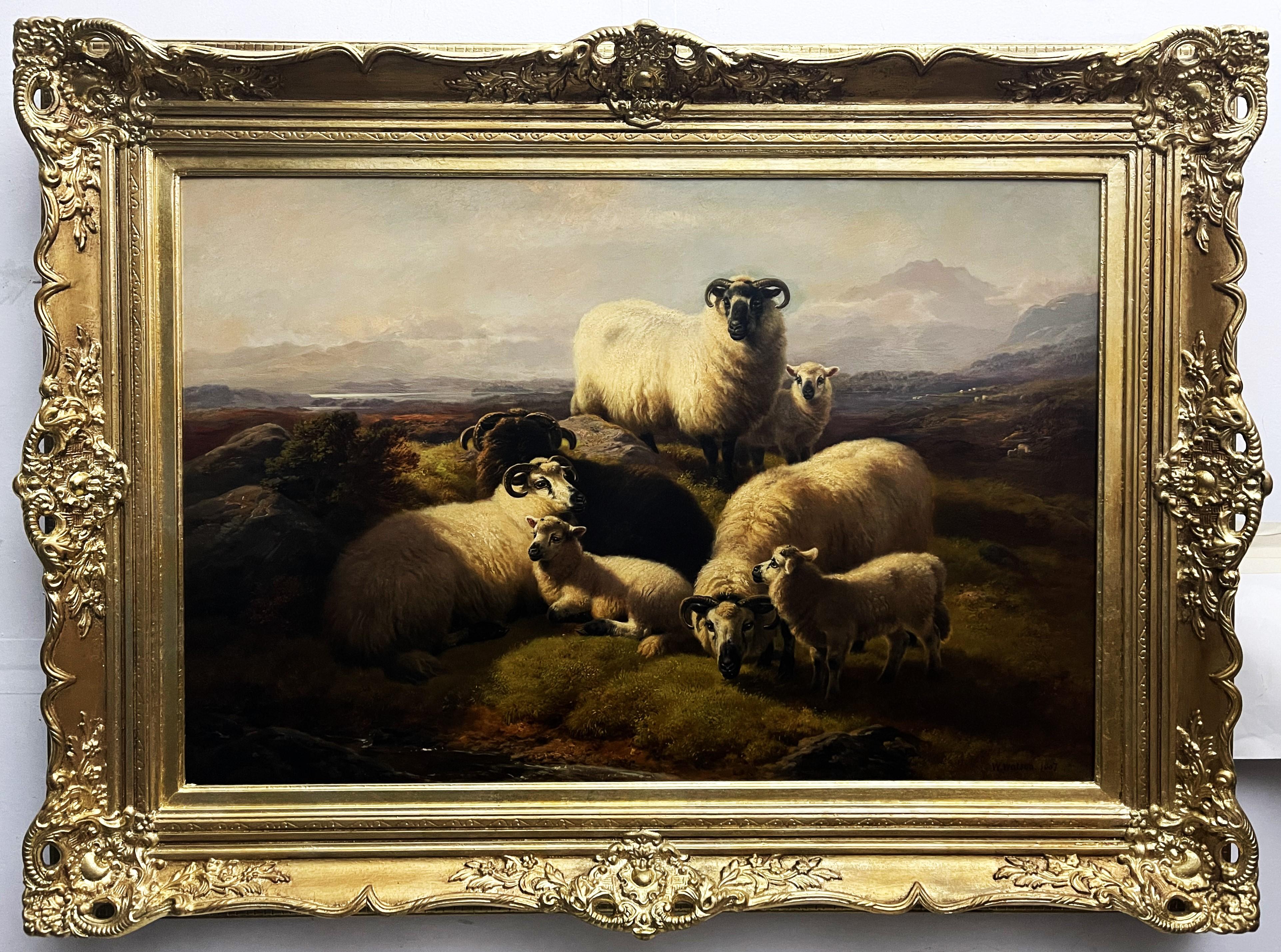 Oveja de montaña - Painting de William Watson