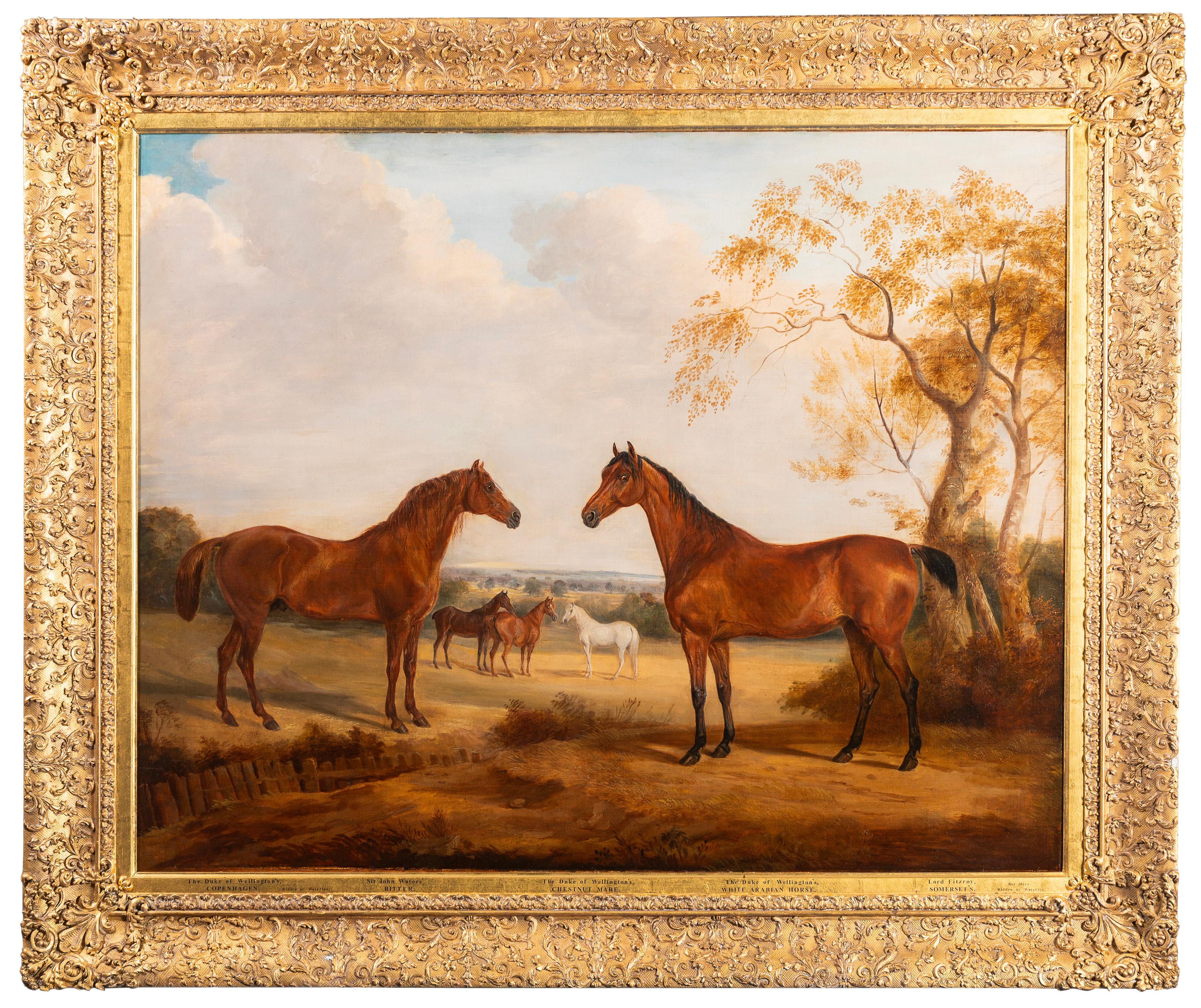 William Webb Animal Painting - The Duke of Wellington's 'Copenhagen', ridden at the Battle of Waterloo