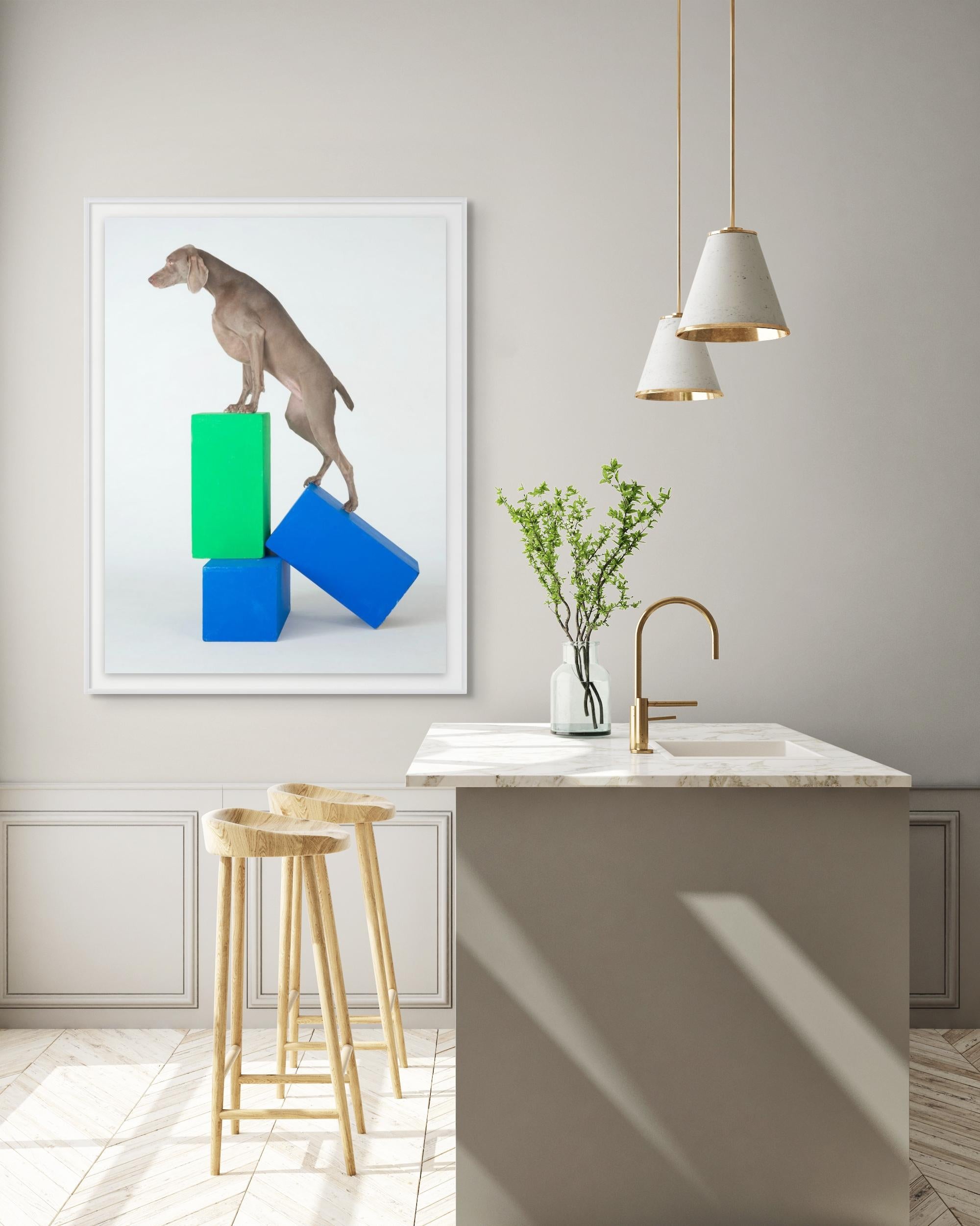 Un paso adelante - Photograph Contemporáneo de William Wegman