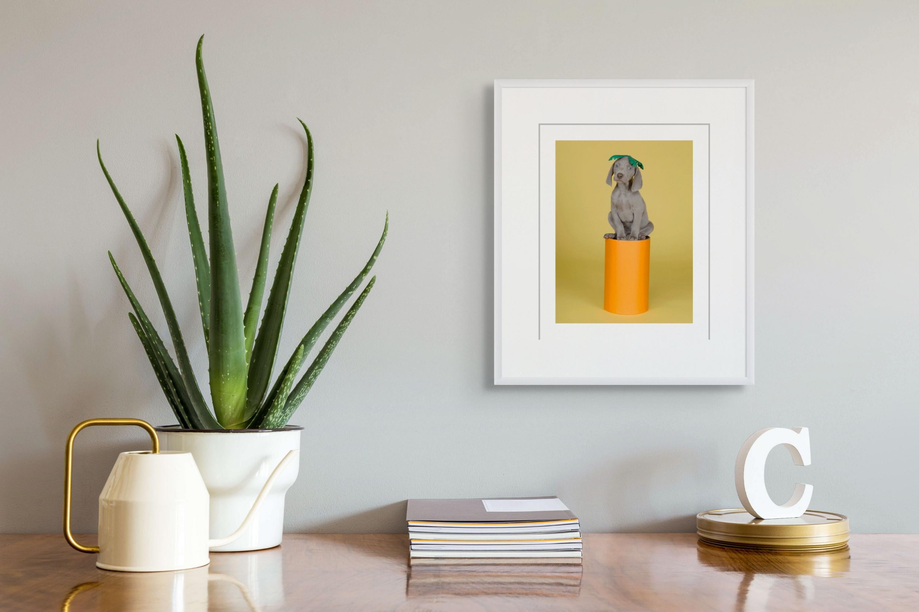Abstrakte Karotte – Photograph von William Wegman