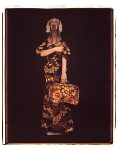 Armed and Matching - William Wegman (Colour Photography)