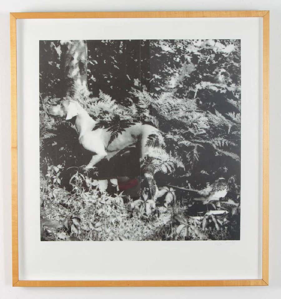 Bird Dog, 1990