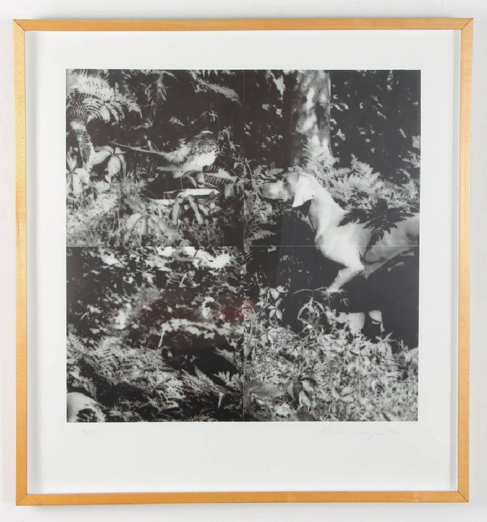 Artist: William Wegman (American, b. 1943)
Title: Bird Dog Suite, 1990
Medium: 4 photolithographs
Dimensions: 19.5 x 19.5 inches (image), (4 pieces)
Publisher: Segura Publishing Company

Signed WW 90 and inscribed 44/50 lower right. 
Provenance: A