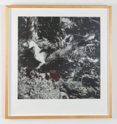 Bird Dog Suite, Complete Set of 4, 1990