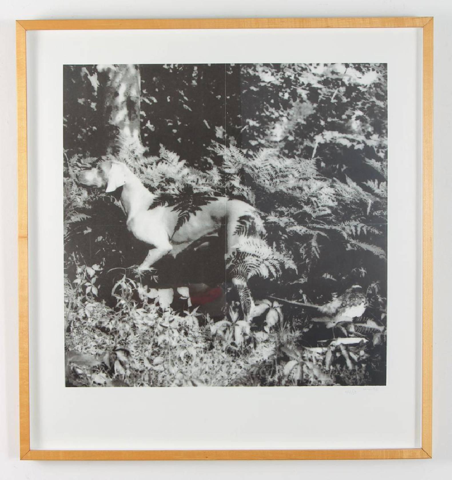 Artist: William Wegman (American, b. 1943)
Title: Bird Dog Suite, 1990
The Complete Set of 4 Photolithographs
Medium: 4 photolithographs
Dimensions: 19.5 x 19.5 inches (each image), (4 pieces)
Publisher: Segura Publishing Company

Signed WW 90 and