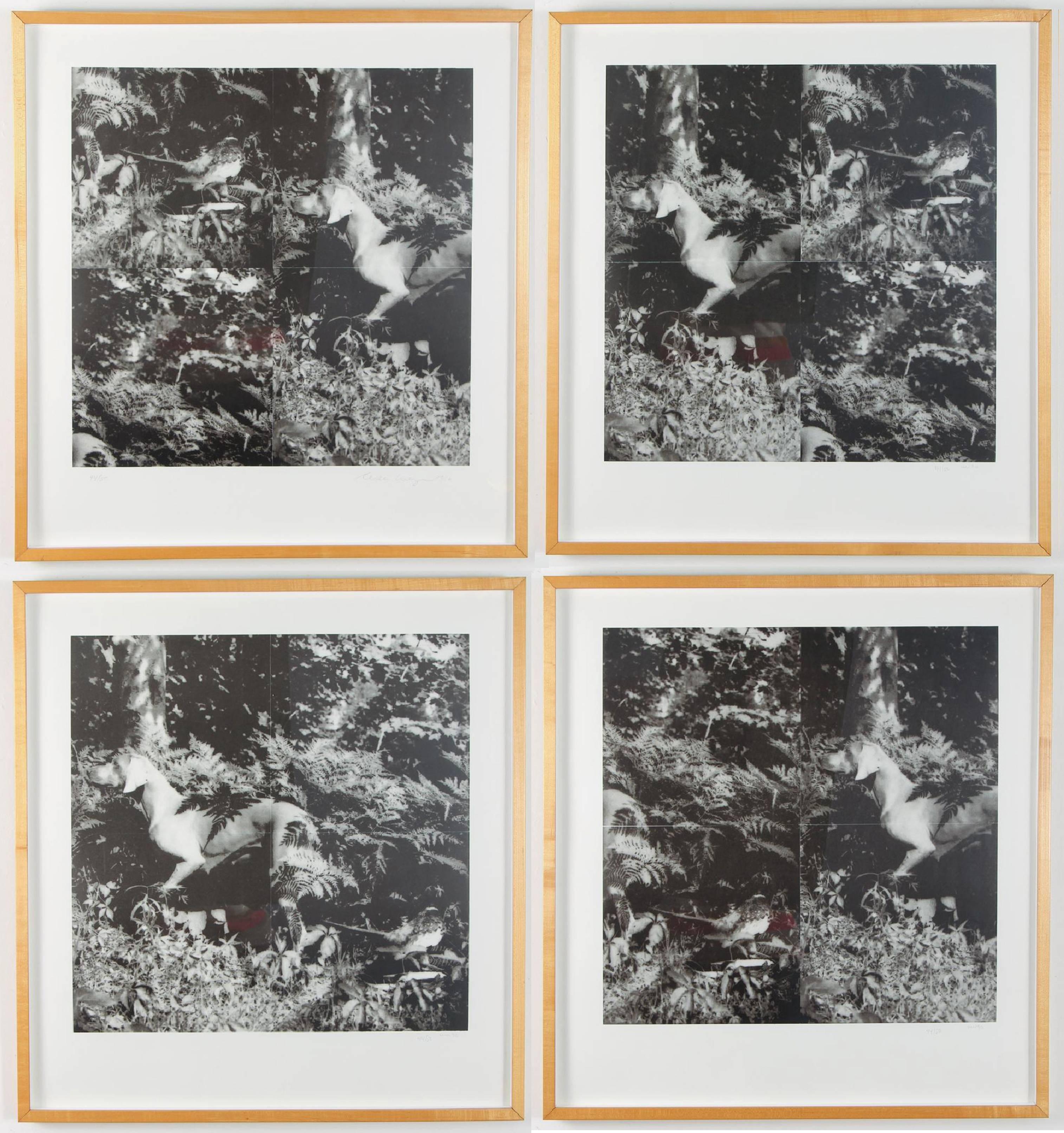 William Wegman Black and White Photograph - Bird Dog Suite, Complete Set of 4, 1990