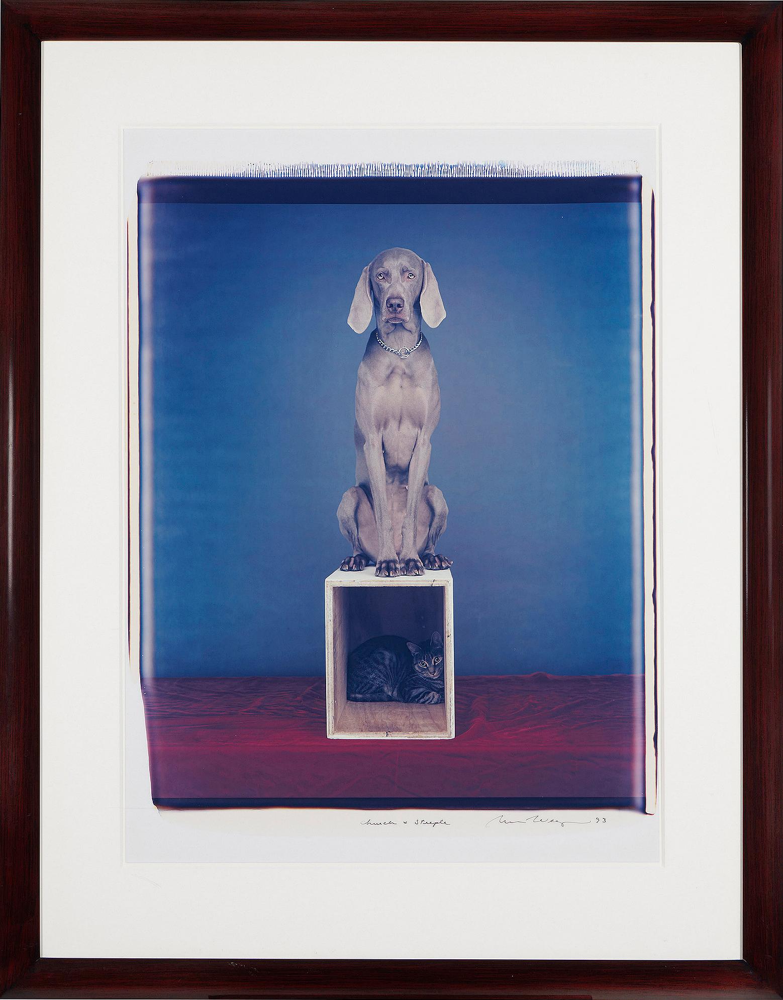 William Wegman's highly conceptual Dog - Cat interaction is depicted in this large-format Polaroid Polacolor print that features a double portrait - a Dog and a Cat - together but separate in their own defined space. 
Signed, titled, and dated to