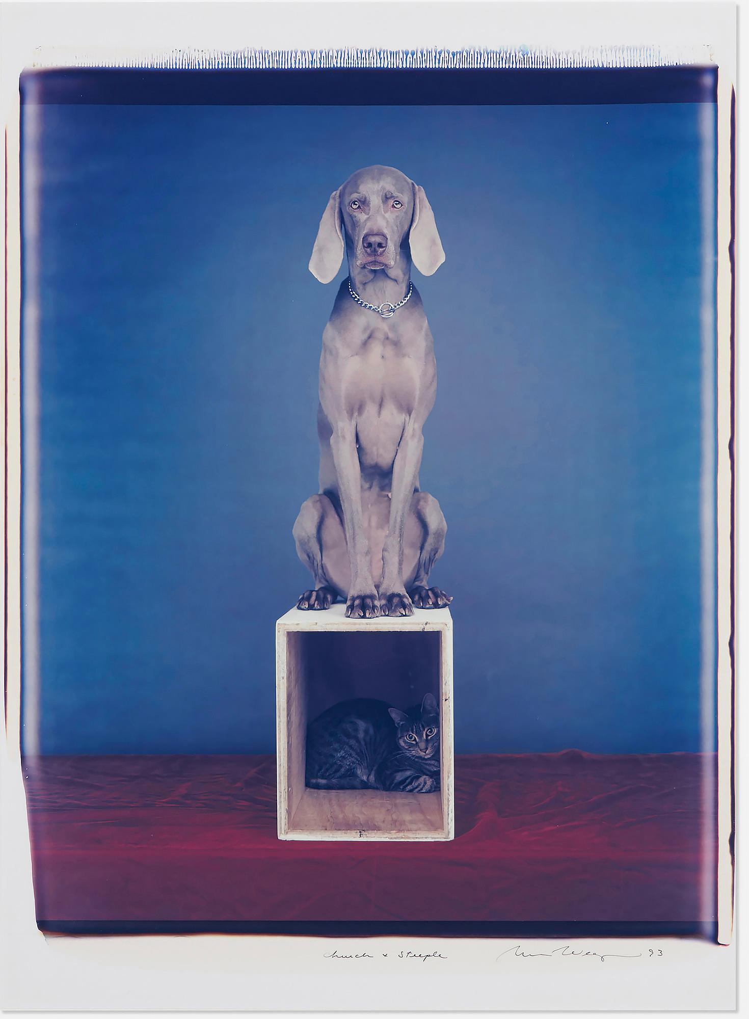 William Wegman Portrait Photograph – Kirchen- und Steeple – Hund und Katze Großformatiges Polaroid