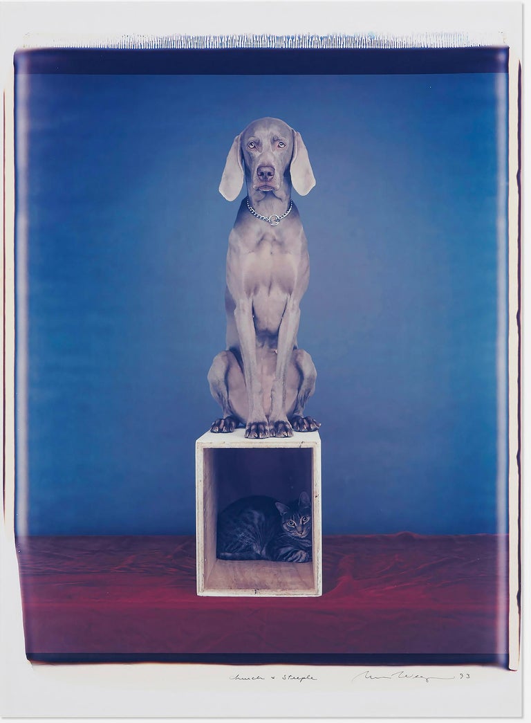 William Wegman Dogs Weimaraner Artwork Photos: William Wegman