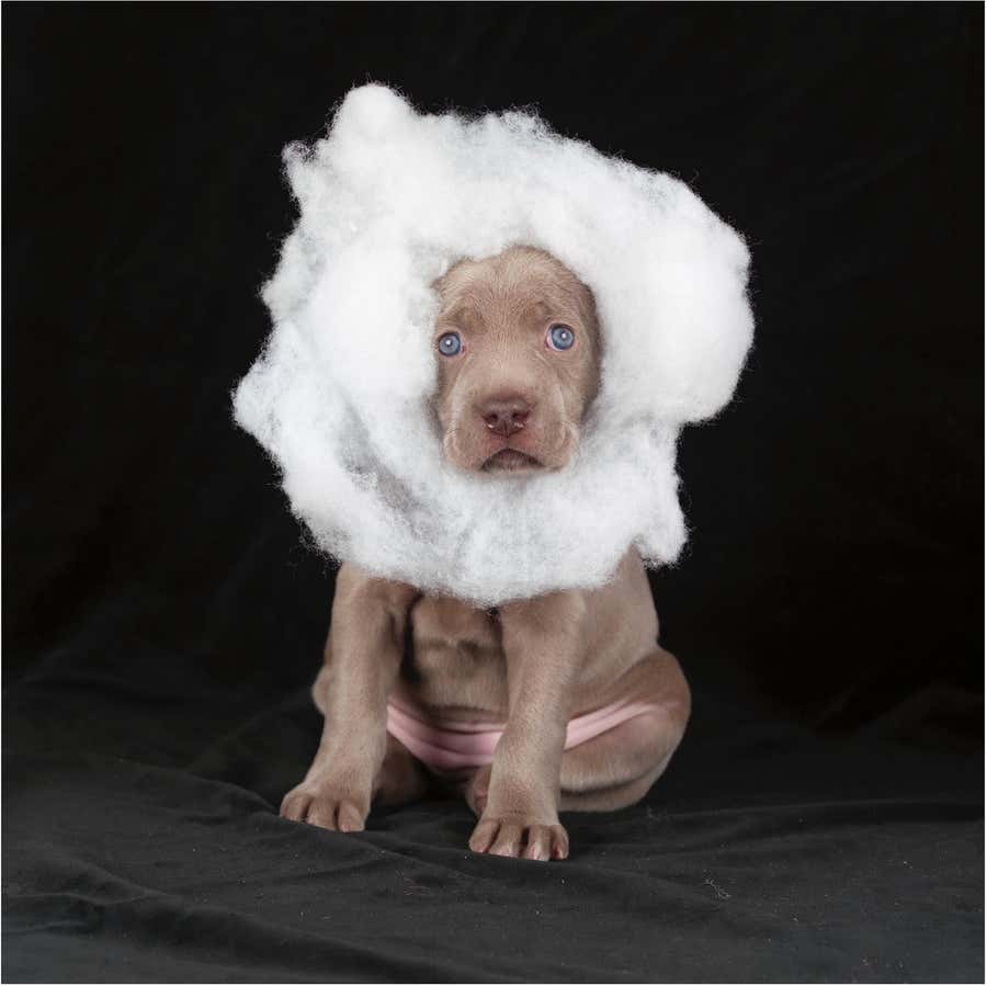 Cloud