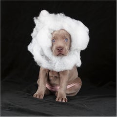 Nube