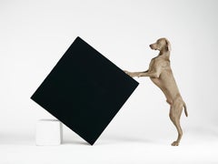 Constructivisme - William Wegman (Photographie couleur)