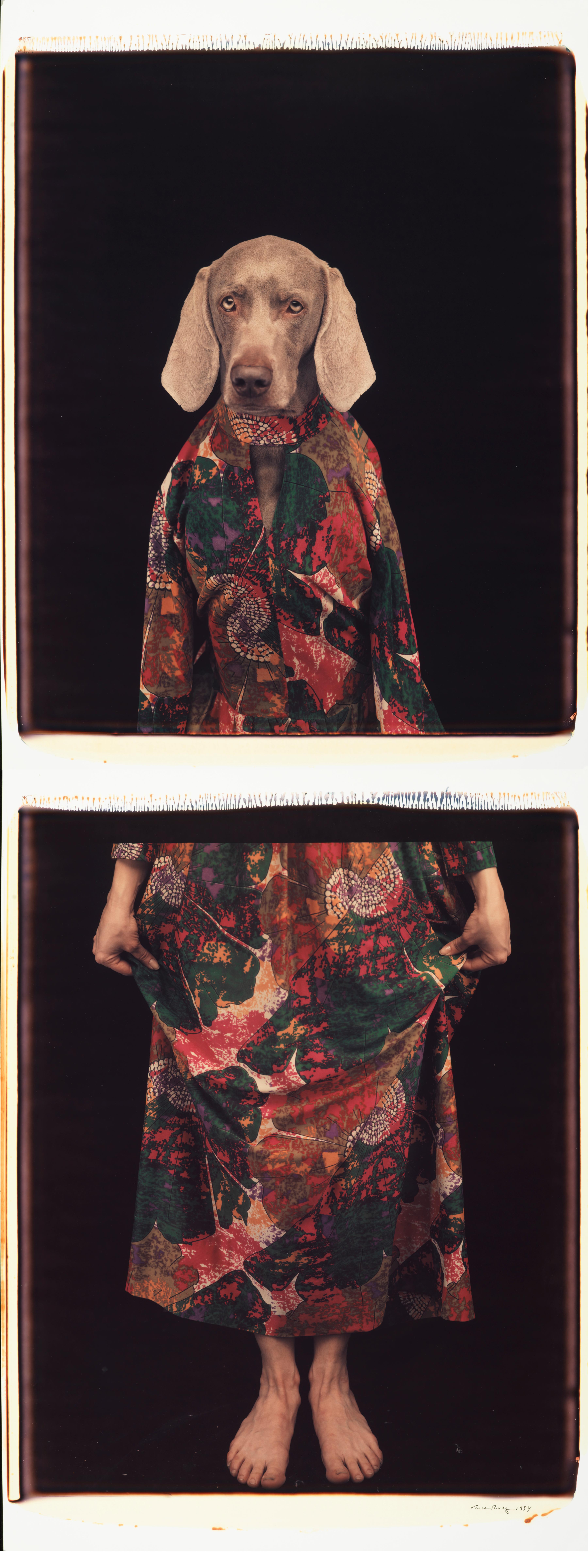 Habillé d'en bas - William Wegman (Photographie en couleur)
Signé et inscrit avec le titre
Deux tirages Polaroid couleur uniques, imprimés en 1994
24 x 20 pouces chacun

Les chiens, perruqués et parés de tenues et d'accessoires, présentent un large