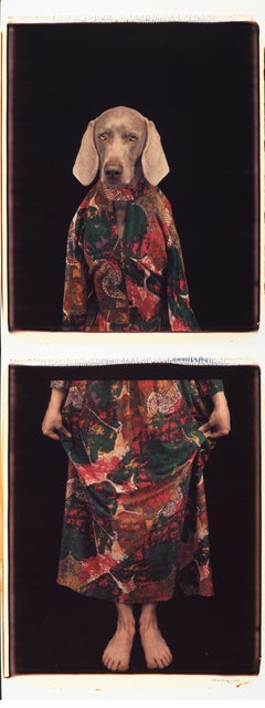 Dressed from Below - William Wegman (Colour Photography)