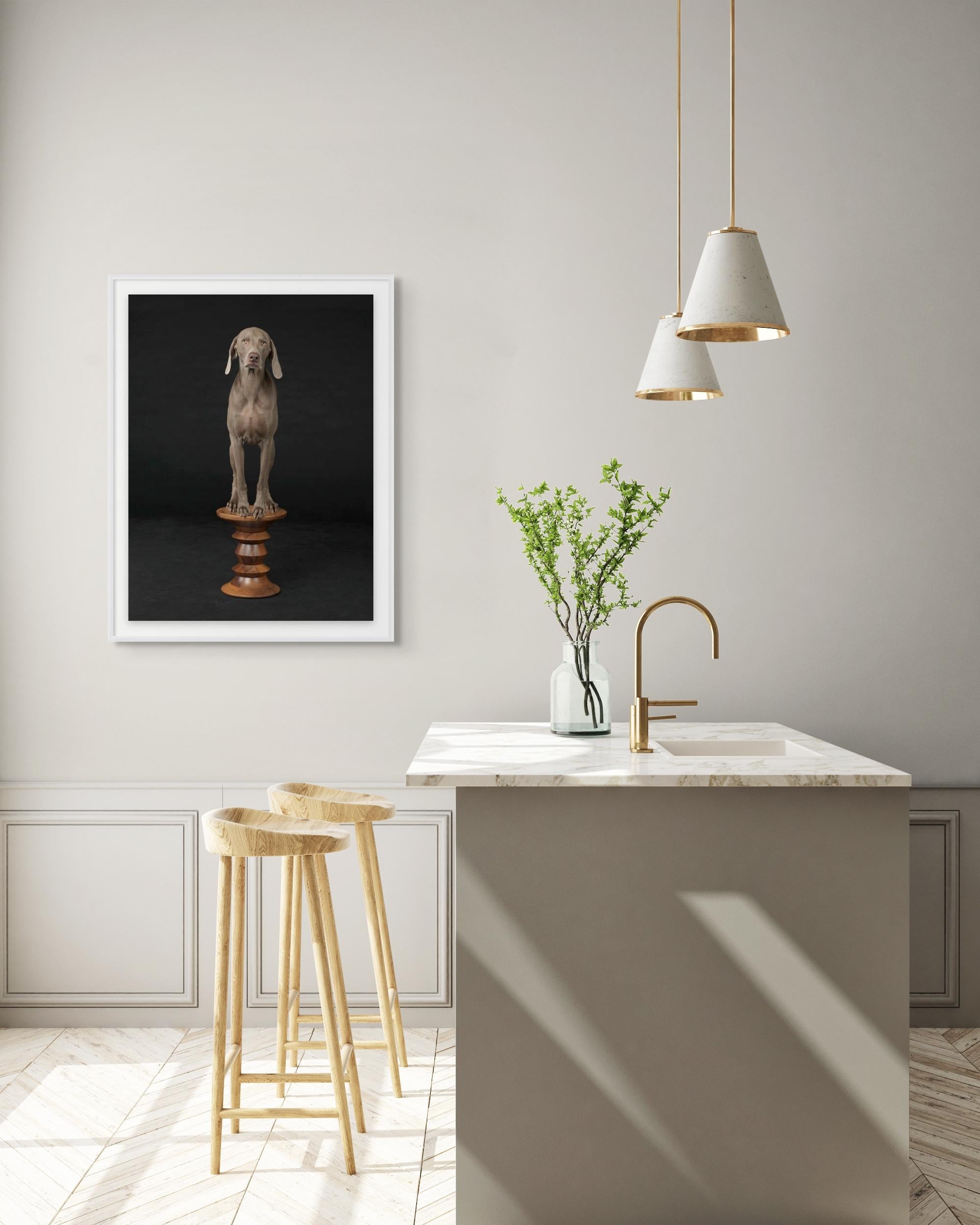 Figürliche Basis – Photograph von William Wegman