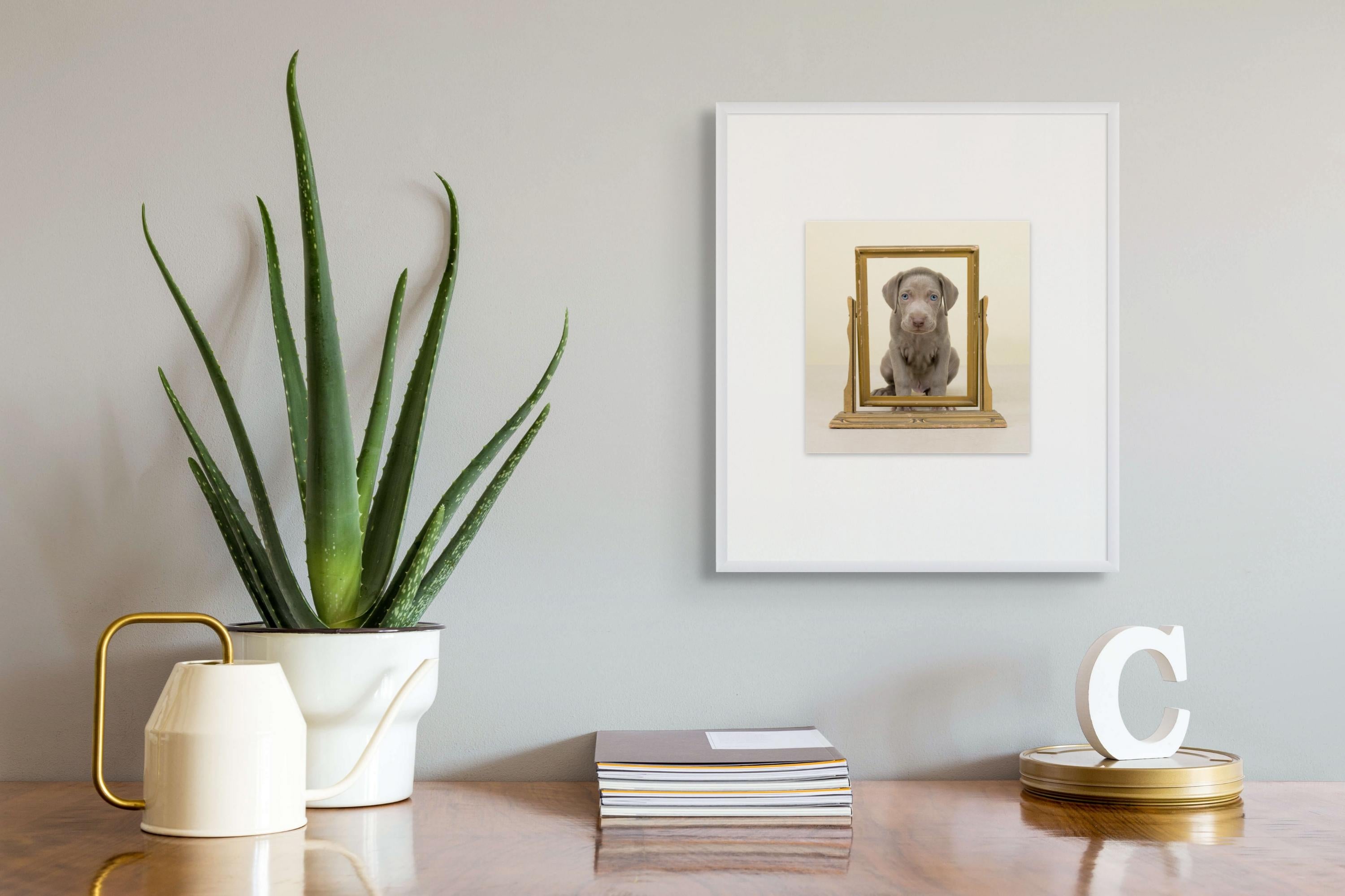 Spiegel (Zeitgenössisch), Photograph, von William Wegman