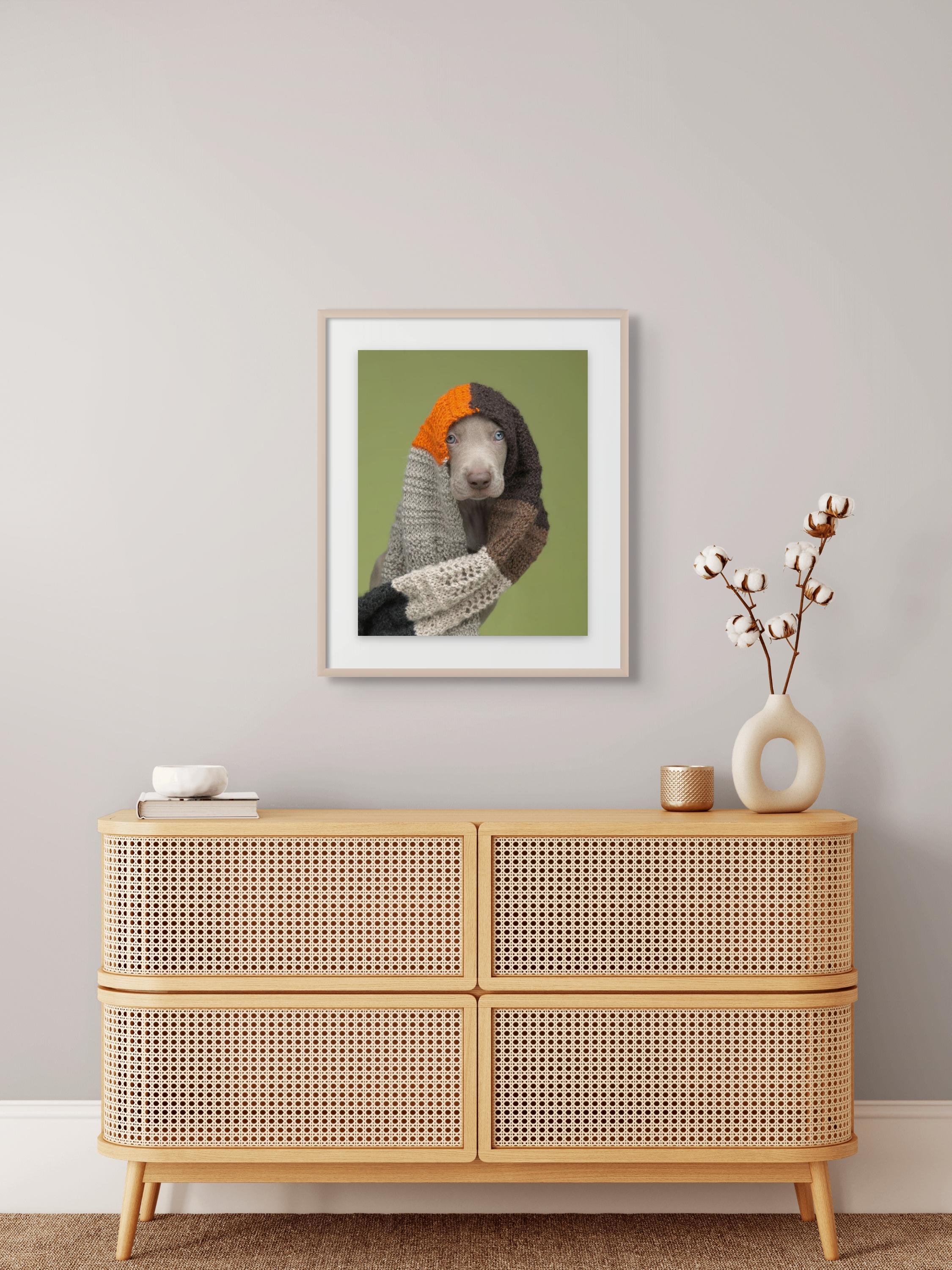 Gemischte Medien (Zeitgenössisch), Photograph, von William Wegman