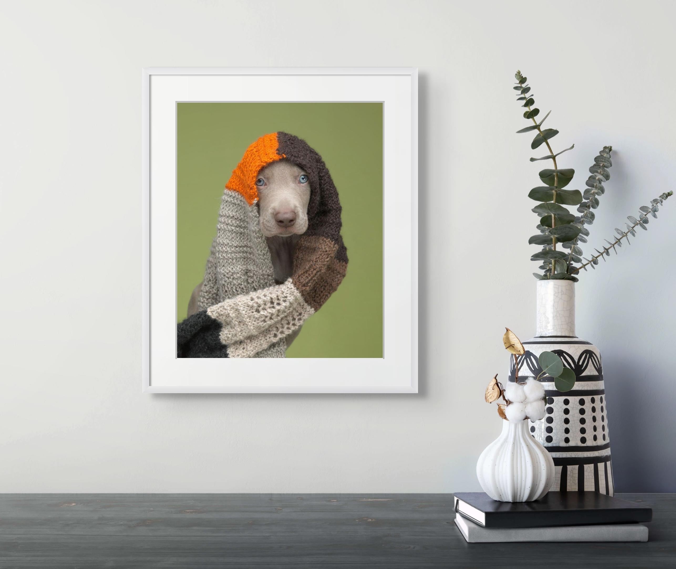 Gemischte Medien (Braun), Portrait Photograph, von William Wegman