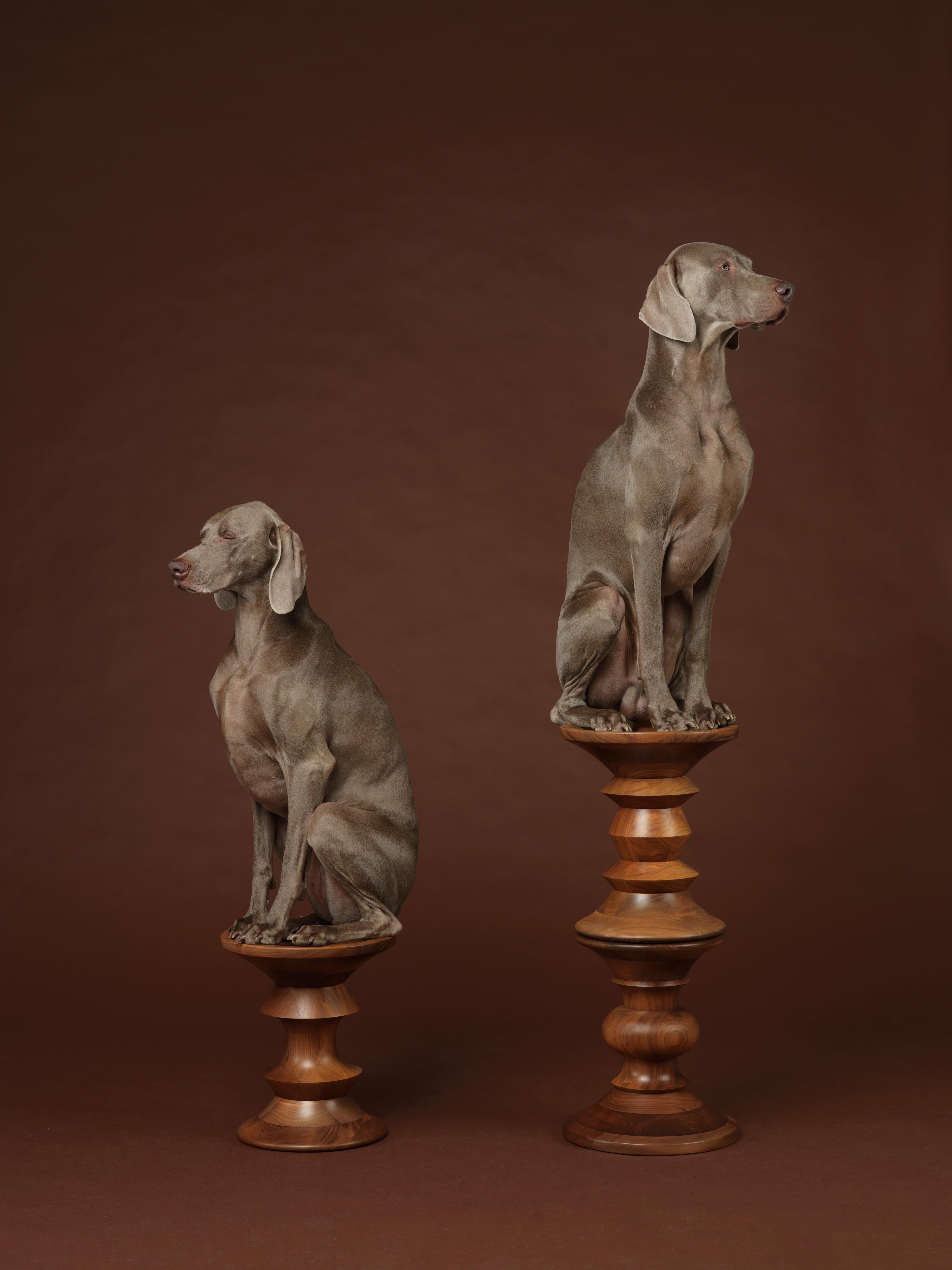 Pawns - William Wegman (Colour Photography)
Signed and numbered on label affixed to reverse of mount
Pigment print
44 x 34 inches
From an edition of 7 

The dogs, bewigged and bedecked with outfits and props, demonstrate a wide range of human