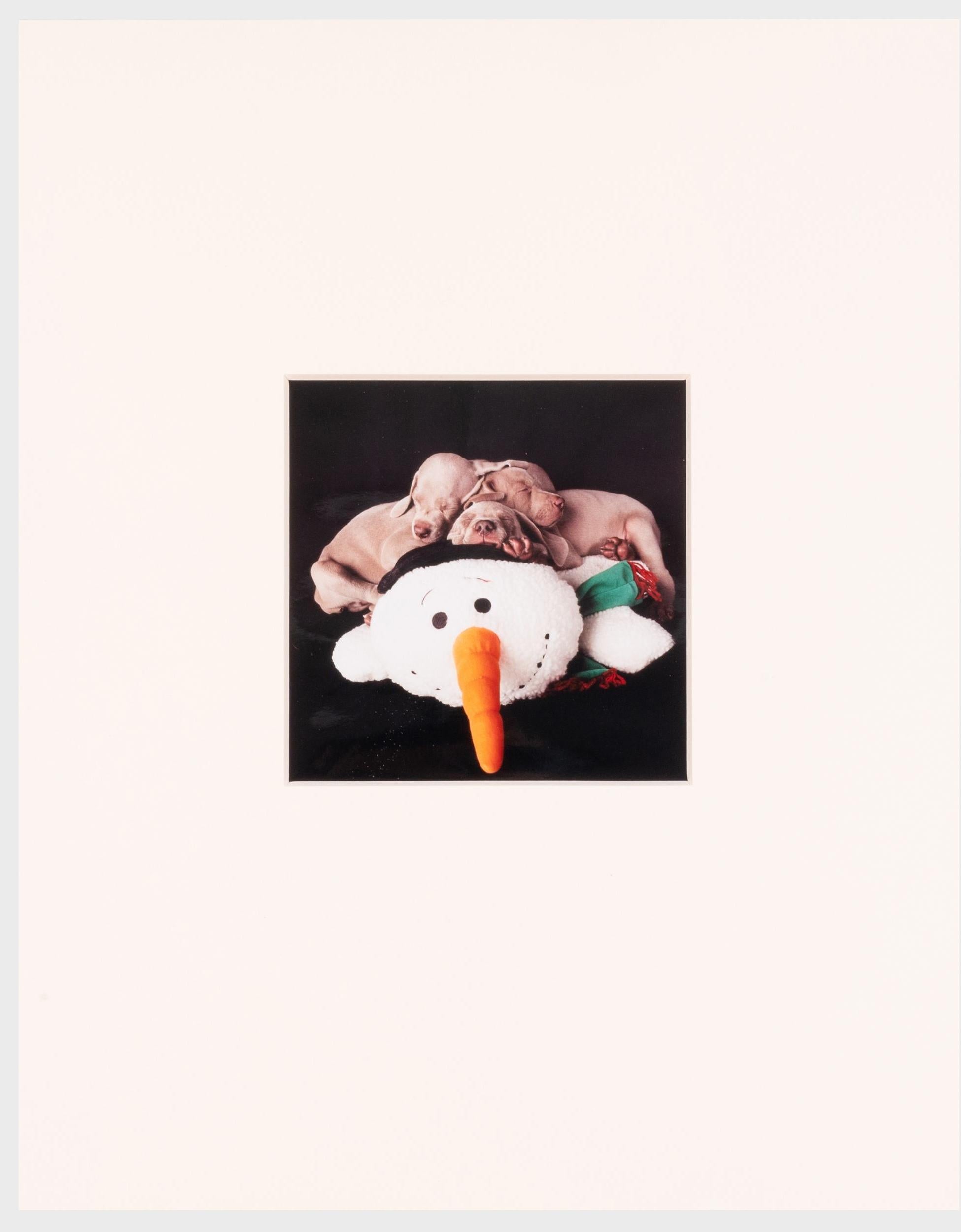 Drei für einen – Photograph von William Wegman